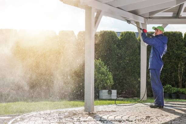 Best Graffiti Removal  in Burley, WA