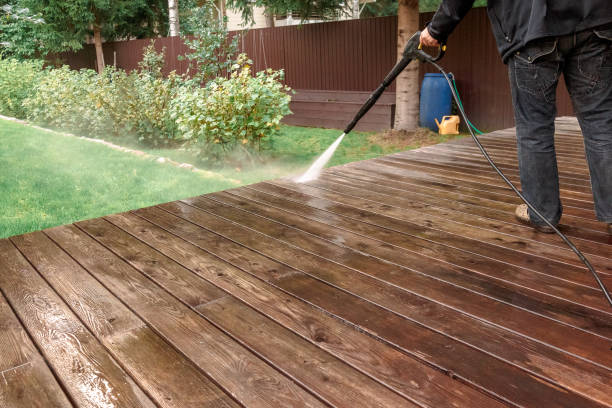 Best Soft Washing  in Burley, WA